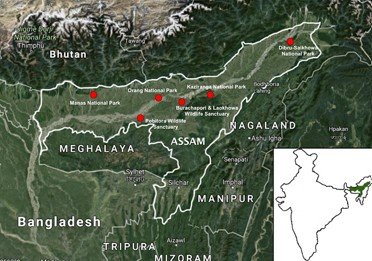 Best IAS Coaching in Gurugram | UPSC Compass