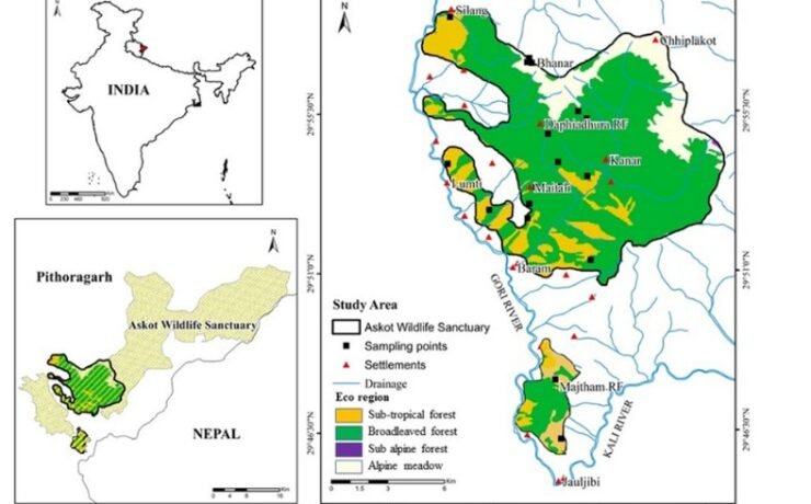 Best IAS Coaching in Haryana | UPSC Compass