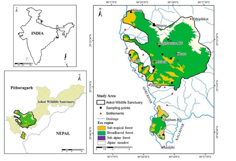 Best IAS Coaching in Haryana | UPSC Compass