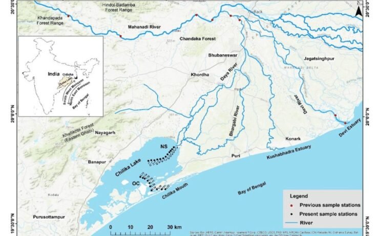 Best IAS Coaching in Haryana | UPSC Compass