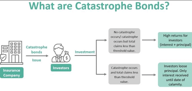 Best IAS Coaching in Haryana | UPSC Compass