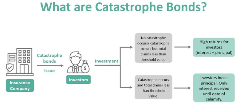 Best IAS Coaching in Haryana | UPSC Compass