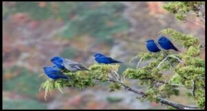 Top IAS Coaching in Haryana | UPSC Compass