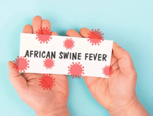African Swine Fever (ASF) | UPSC Compass