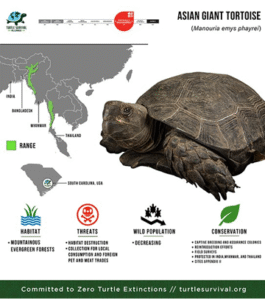 Asian Giant Tortoise | UPSC Compass
