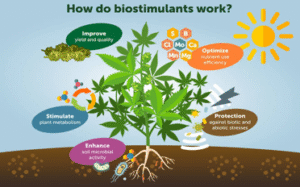 Biostimulants | UPSC Compass