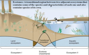 EcoTone | UPSC Compass