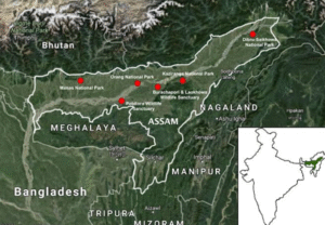 Pobitora Wildlife Sanctuary | UPSC Compass
