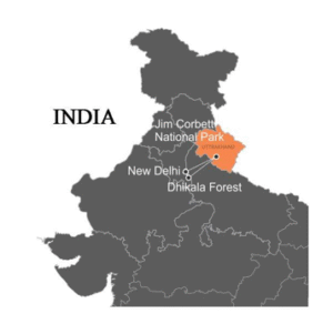  Corbett Tiger Reserve | UPSC Compass