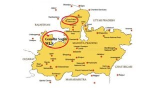 Gandhi Sagar Wildlife Sanctuary | UPSC Compass | Best IAS Coaching in Haryana